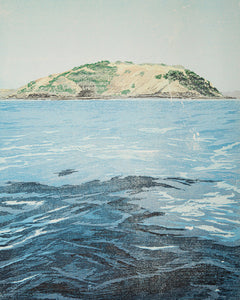 Land and Sea #34 (Tortoise Head, French Island)
